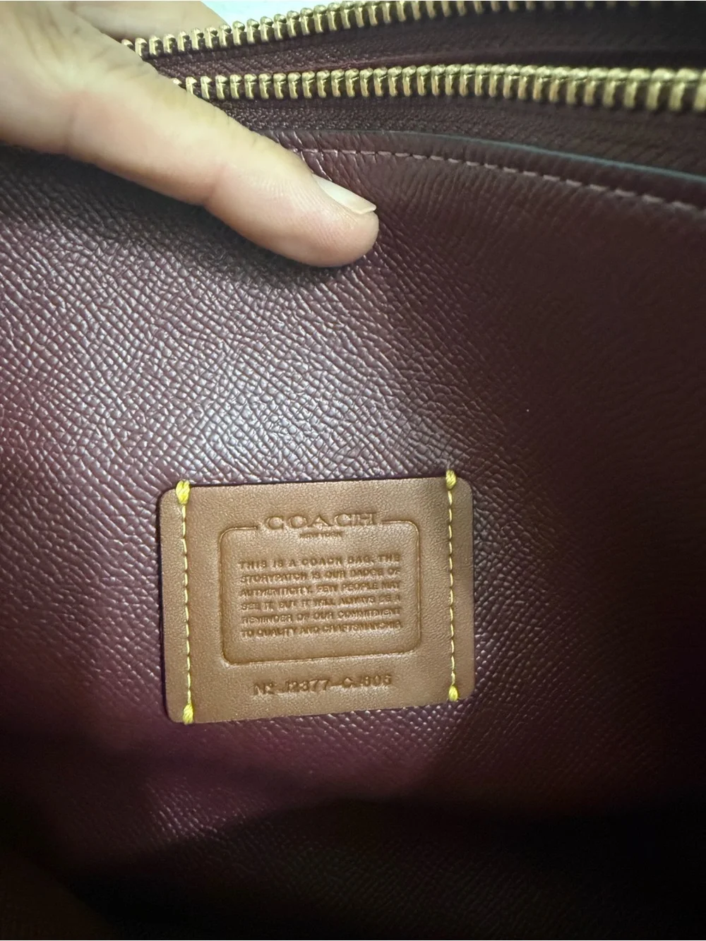 Coach Carter Carryall bag (Medium size)